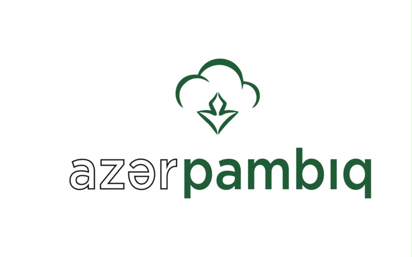 Azər Pambıq